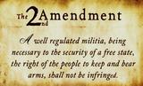 The artwork and wording<br>for the 2nd Amendment pen<br>blank